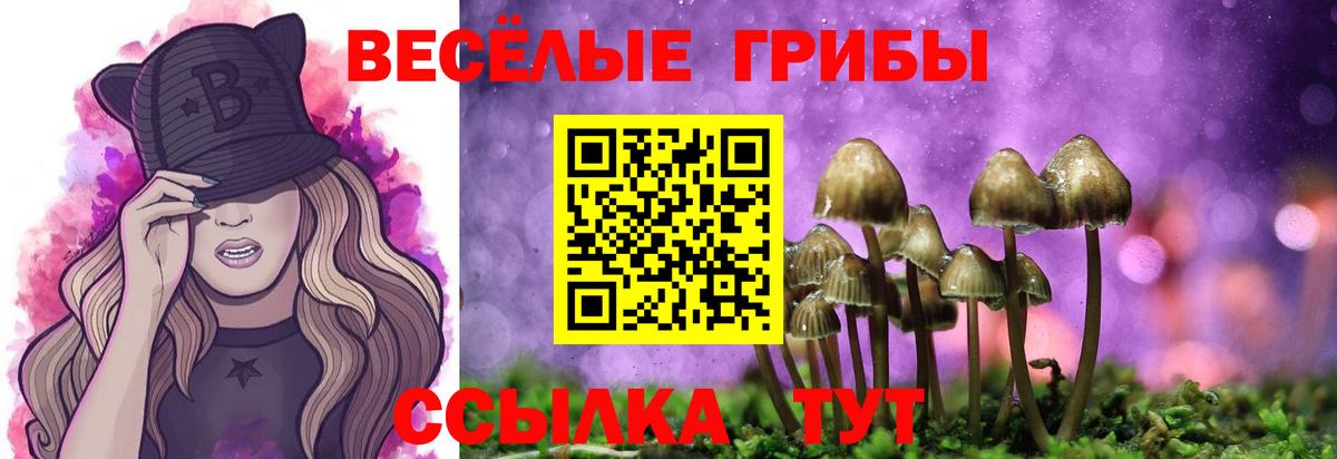 Галлюциногенные грибы MAGIC MUSHROOMS  Вход с VPN  Алатырь  Псилоцибиновые грибы Magic Shrooms 