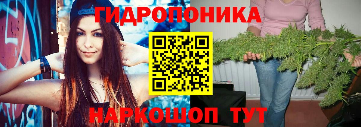 Конопля гибрид  Конопля ГИДРОПОН  Алатырь  Вход с VPN 